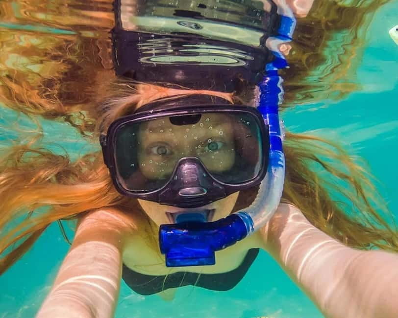 Panglao: Snorkeling at NapalingReef with Sardines Experience - Key points to know before booking