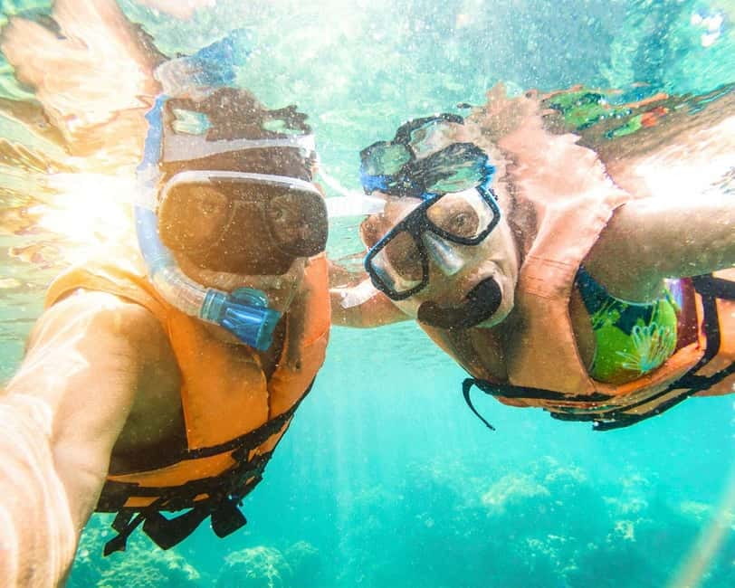Panglao: Snorkeling at NapalingReef with Sardines Experience - Starting at Freedive Academy Panglao