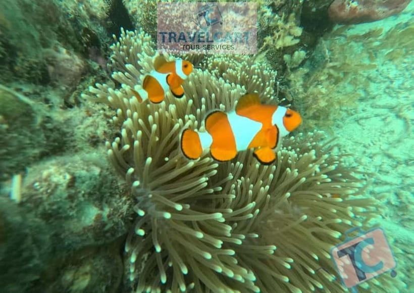 PORT BARTON: Full-day Shared Island Hopping Tour A - Key points at a glance