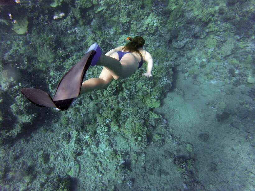 Port Barton: Island Hopping to Turtle Spot & Reef with Lunch - Key points to know before you go