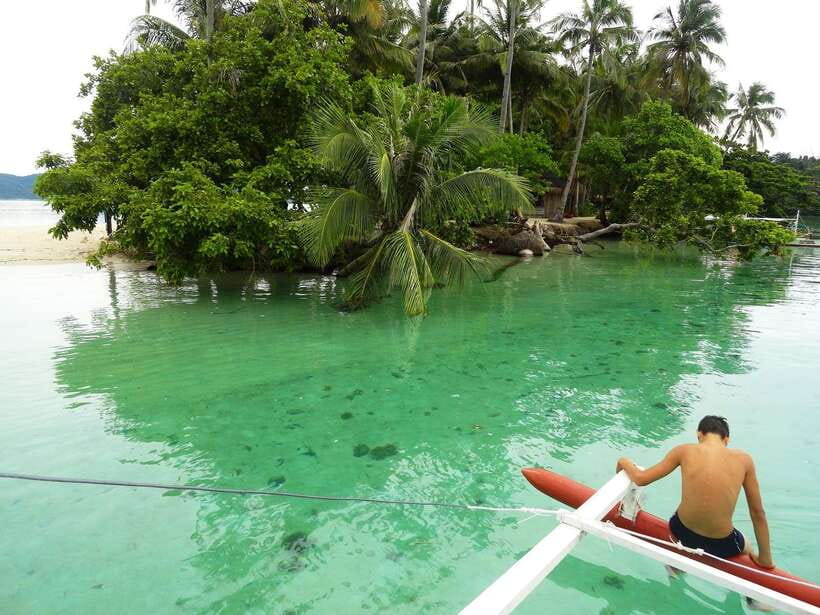 Port Barton: Island Hopping to Turtle Spot & Reef with Lunch - Turtle Spot: the day’s biggest question mark