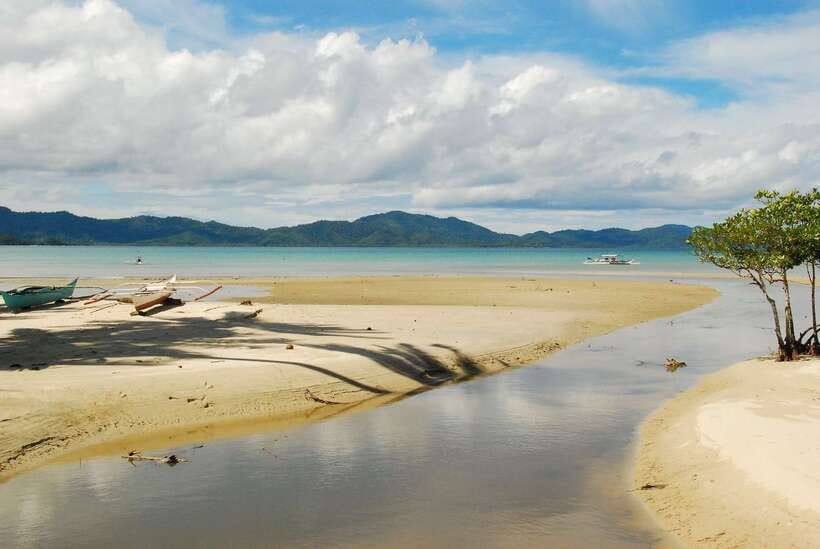 Port Barton: Island Hopping to Turtle Spot & Reef with Lunch - A Filipino BBQ lunch that is part of the experience