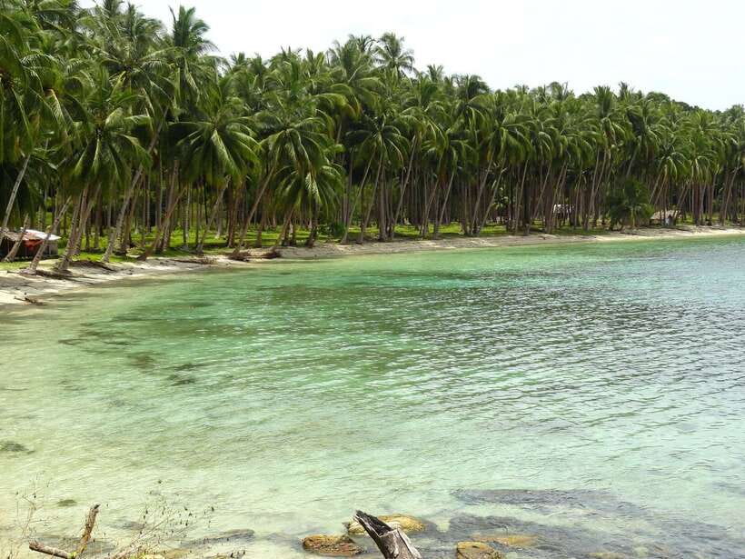 Port Barton: Island Hopping to Turtle Spot & Reef with Lunch - The crew sets the tone