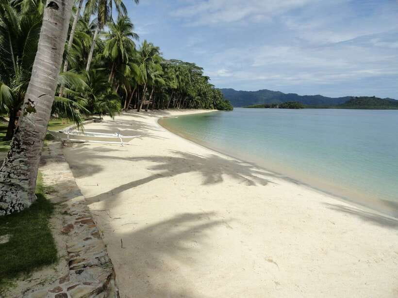 Port Barton: Island Hopping to Turtle Spot & Reef with Lunch - Who should book this Port Barton tour?