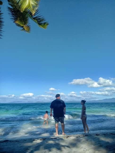 Port Barton: Island Hopping with Lunch,Hotel Transfer & Fees - The turtle spot is the wildlife highlight