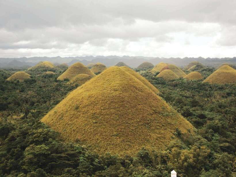 PREMIUM Bohol Eco-Tours: Chocolate hills - Meeting Bohol’s tiny primates in Corella