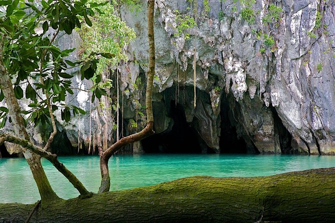 Private 4-kilometer Puerto Princesa Underground River Tour with lunch - The price: costly, but not a simple comparison