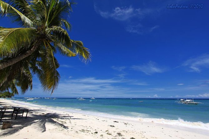 Private Bohol and Chocolate Hills with Loboc River Cruise - Meeting the tarsiers in Corella