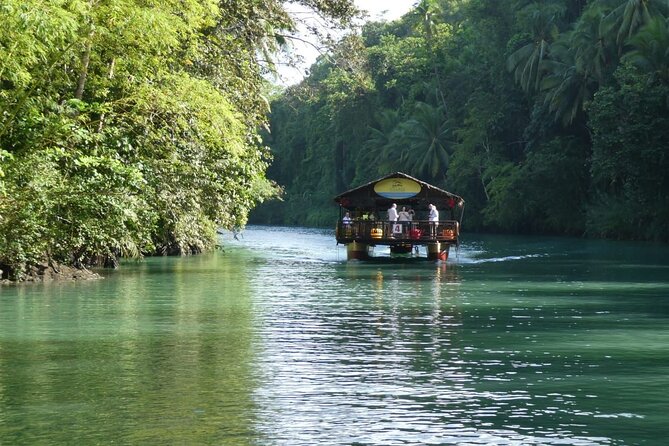 Private Bohol and Chocolate Hills with Loboc River Cruise - Taking in the Chocolate Hills