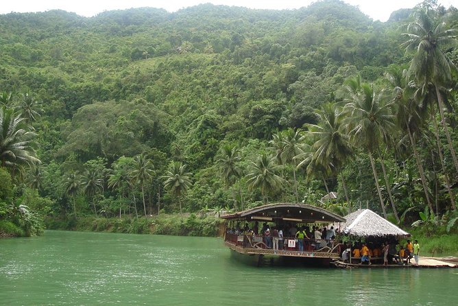 Private Bohol and Chocolate Hills with Loboc River Cruise - The Bilar Manmade Forest on the way to the hills