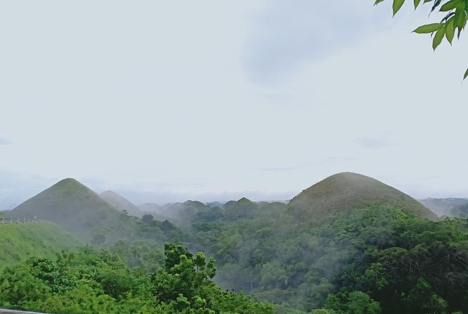 Private Day Trip Cebu to Bohol w/ Chocolate Hills & Loboc Cruise - Seeing the Chocolate Hills