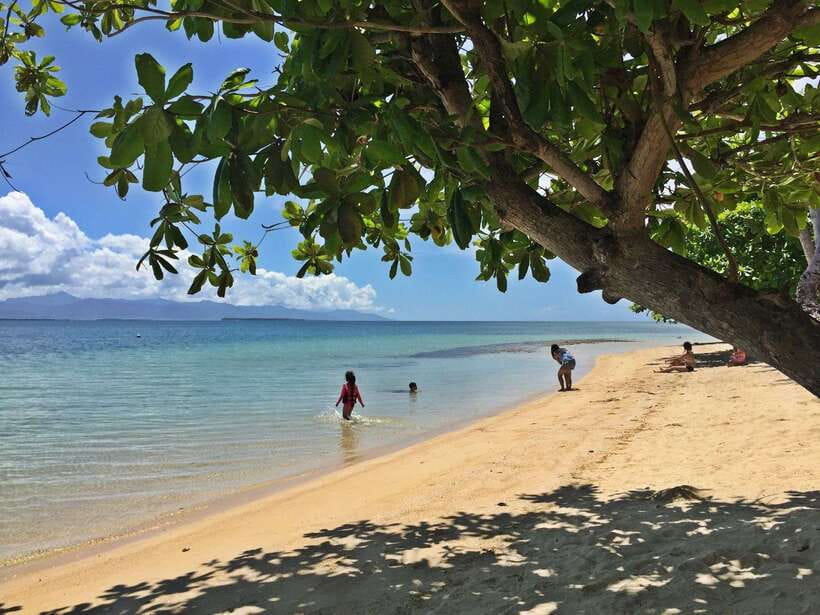 Puerto Princesa: Cowrie Island Guided Day Tour with Meal - A guide who handles the small details