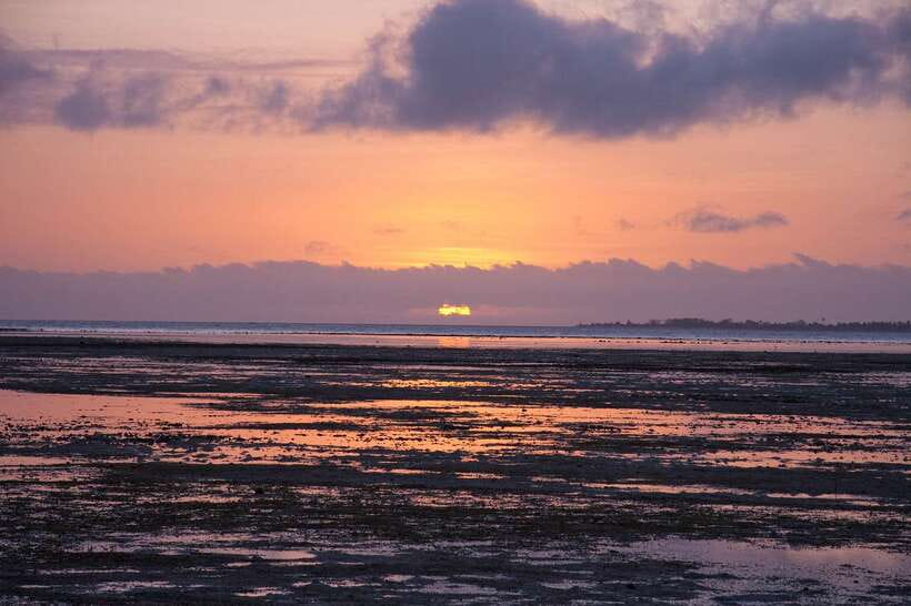 Puerto Princesa: Firefly Watching Bay Cruise with Dinner - Why the firefly trip feels different from a standard sunset cruise