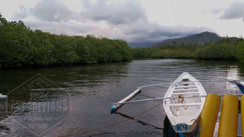 Puerto Princesa: Firefly Watching Paddle Boat Tour & Dinner - Meeting at Baywalk before sunset