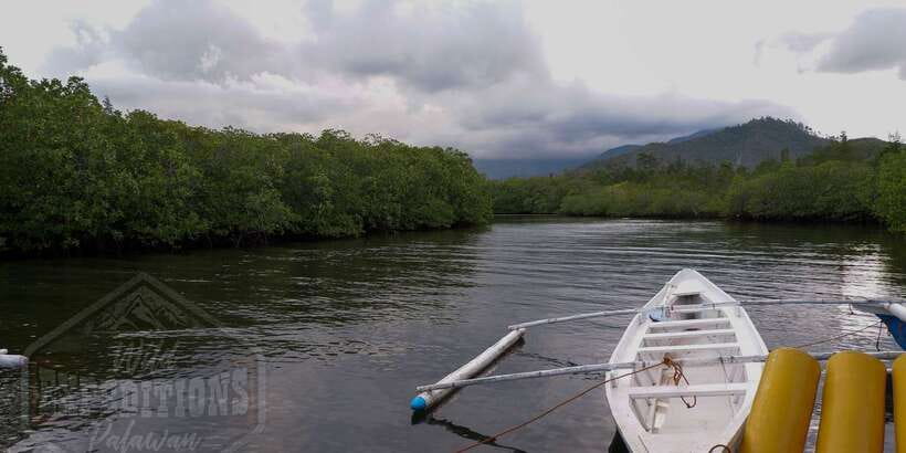 Puerto Princesa: Firefly Watching Paddle Boat Tour & Dinner - What the guide adds to the ride
