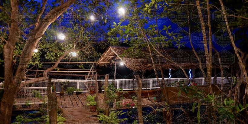 Puerto Princesa: Firefly Watching Paddle Boat Tour & Dinner - Is $27 a good value?