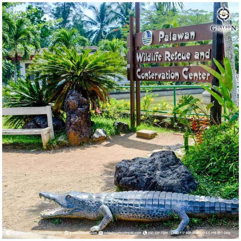 Puerto Princesa Half Day City Tour (shared tour) - Baywalk offers a lighter city view