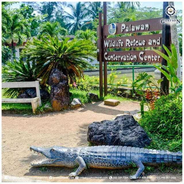 Puerto Princesa Half Day City Tour (shared tour) - Transport, timing, and the shared-tour tradeoff