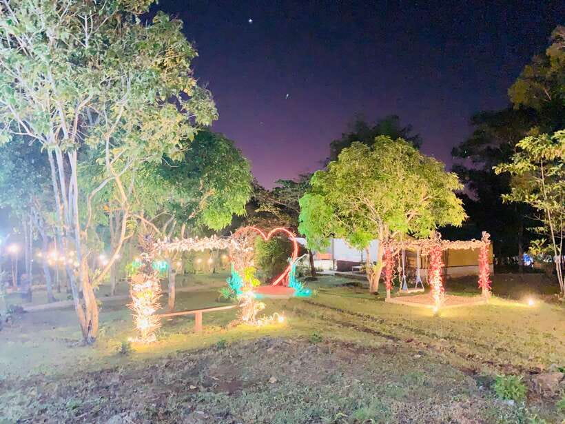 Puerto Princesa: Jungle Firefly Watching Boat Tour & Dinner - Booking details worth checking