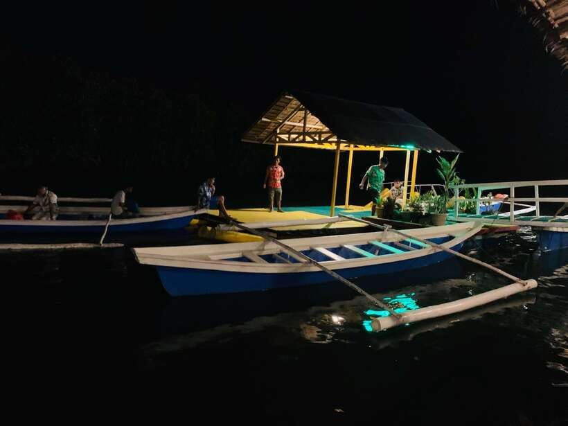 Puerto Princesa: Jungle Firefly Watching Boat Tour & Dinner - The 4:30 PM pickup and the ride out of town