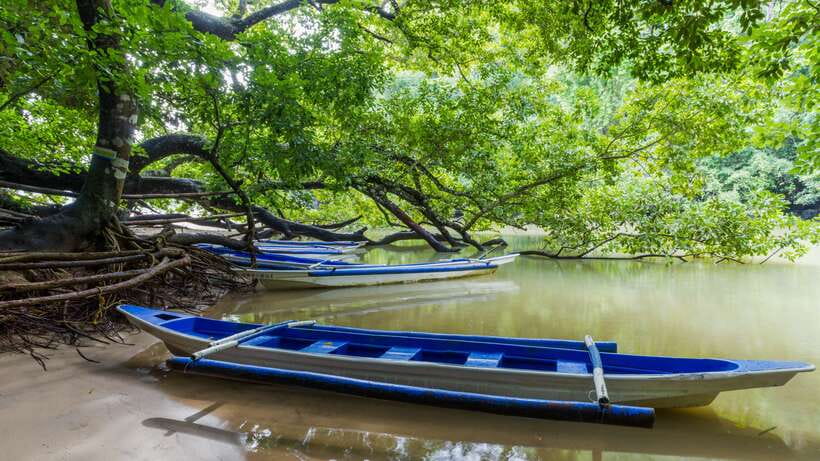Puerto Princesa Underground River Tour in Palawan - Key points to know before you book