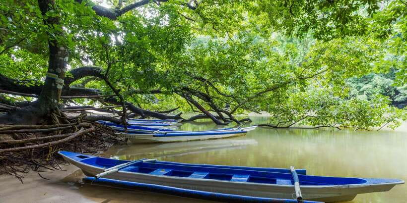 Puerto Princesa Underground River Tour in Palawan - What the $48 price really covers
