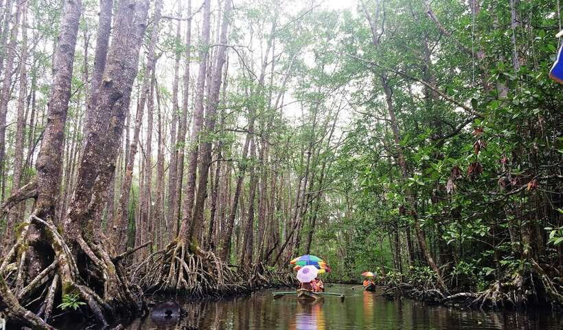 Puerto Princesa: Underground River, Zipline, Paddleboat Tour - Filipino lunch beside Sabang Beach