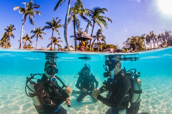 Scuba Diver Course (PADI) - Starting at Scotty’s in Shangri-La Mactan