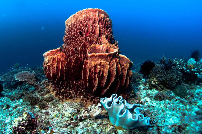 Scuba Diving in Boracay: SSI Basic Diver for Beginners - Getting comfortable with the mask, fins, and air supply