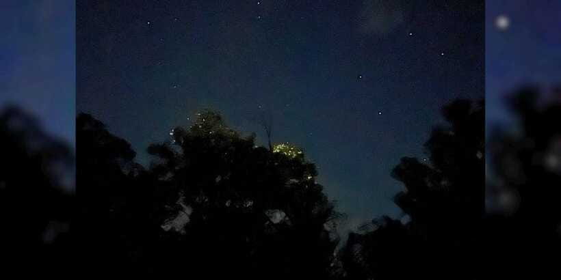 Shared Firefly Watching Cruise on Bohol’s Scenic Loboc River - Practical tips for a better firefly outing