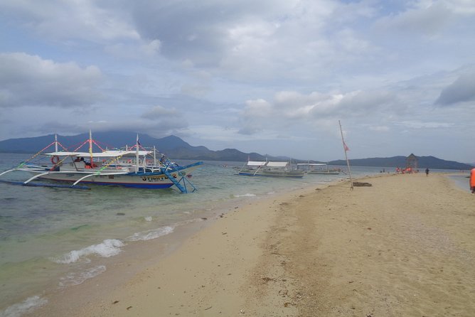 Shore excursion: Puerto Princesa Island Hopping Tour - Starfish Sandbar: the most memorable stop