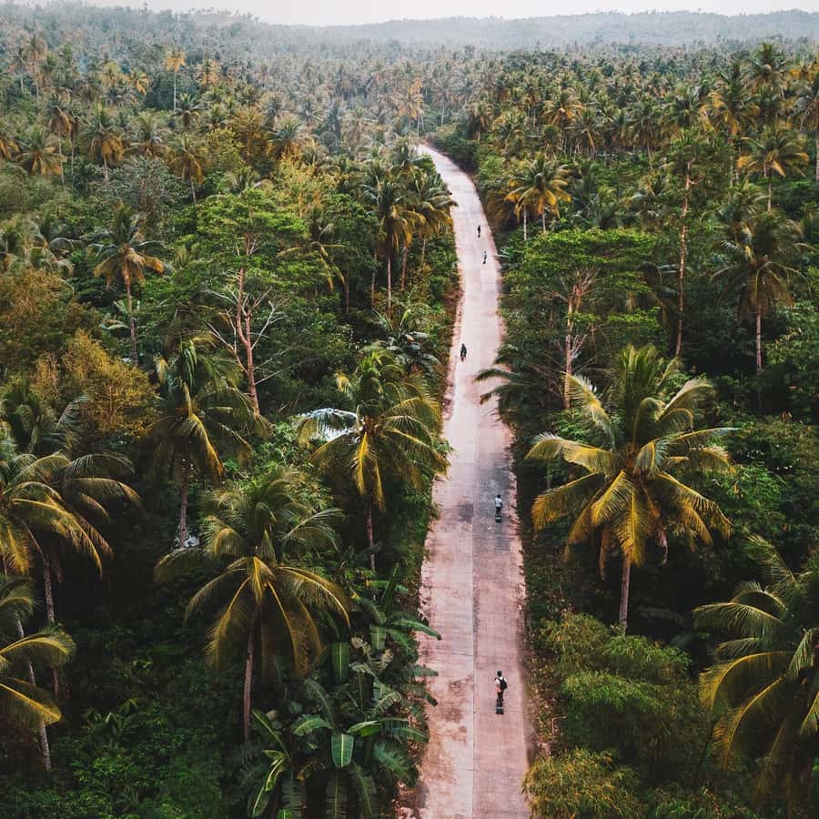 Siargao : Morning 1 Hour Guided Electric Skate Experience - What the Siargao eSkate ride is really like