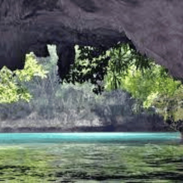Siargao:Sohoton Island Hopping Tour with Jellyfish Sanctuary - The jellyfish stop and what you may actually see