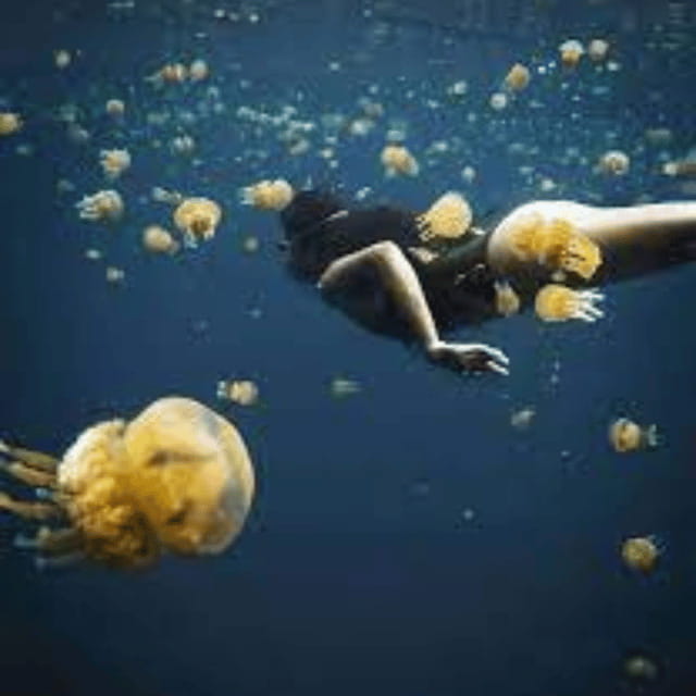 Siargao:Sohoton Island Hopping Tour with Jellyfish Sanctuary - Lunch and the resort break