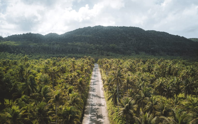 Siargao Tour G (Private Tour) - Guyam Island begins the island-hopping day