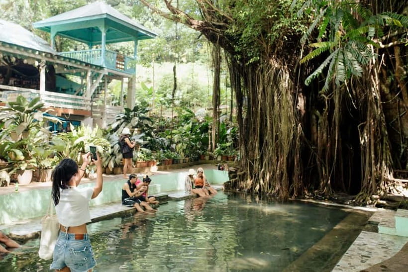 Siquijor Day Tour from Bohol- Shared Tour - The old Balete Tree and its fish spa