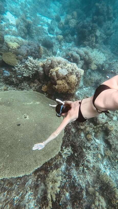 Siquijor: Freediving Adventure with Lunch and Beach Time - What this Siquijor water day is really like