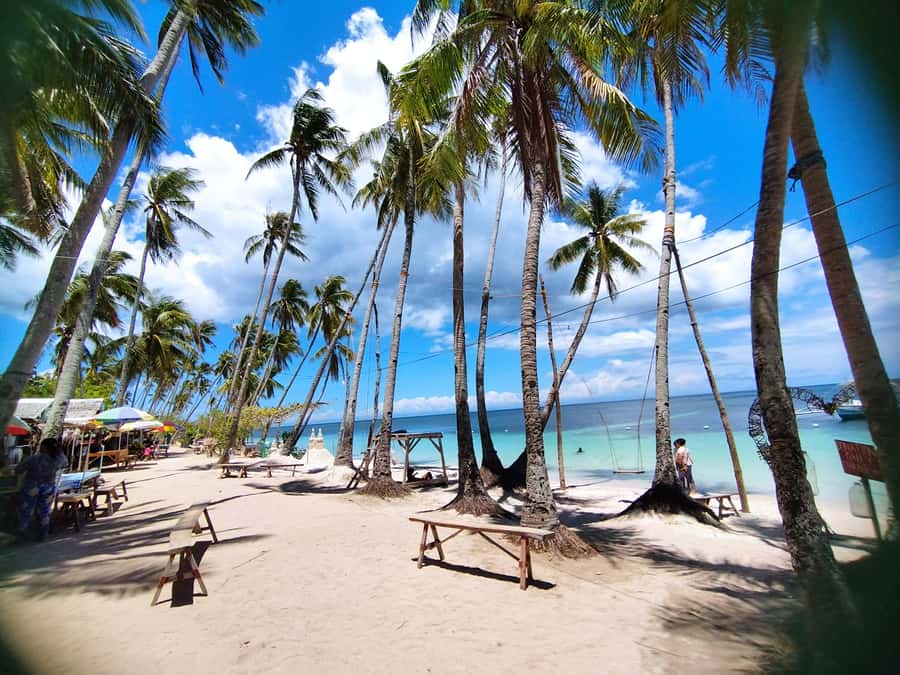 Siquijor: Siquijor Island Tour Cambugahay Falls Private - Salagdoong Beach, coves, reefs, and optional jumps