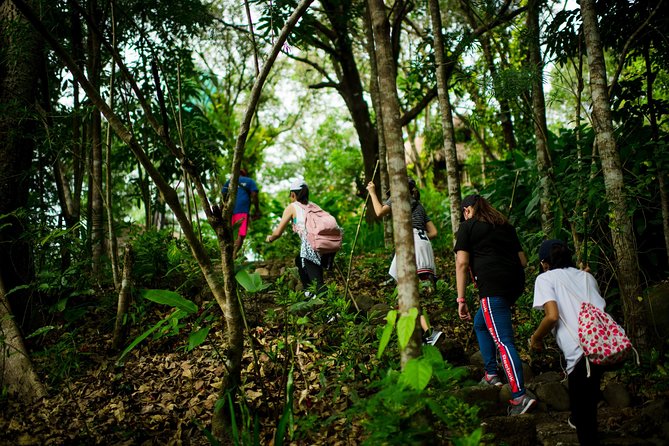 Skip the Line: Hike Eat Swim at Mount Purro Nature Reserve Ticket - Choosing the right start time