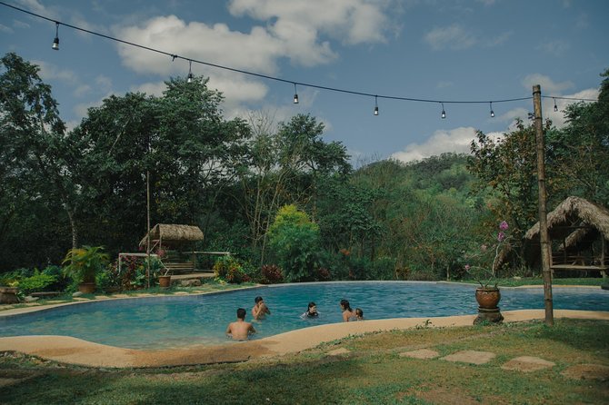 Skip the Line: Hike Eat Swim at Mount Purro Nature Reserve Ticket - Walking the forest trails with a local guide