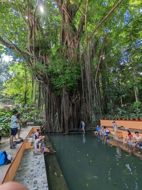 The Best of Siquijor Island Tour - Why this Siquijor day tour works