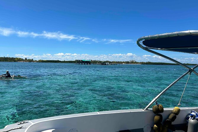 Twin Island Snorkeling Adventure at Hiltungan and Nalsuan - Who will enjoy this Cebu snorkeling trip?