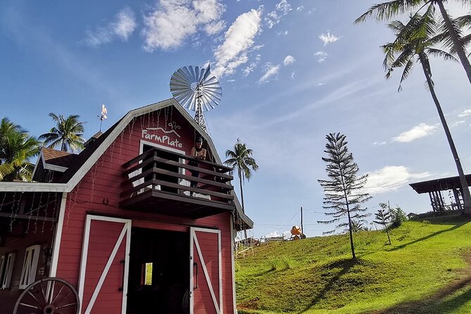 Ultimate Full Day Albay Bicol Philippines Tour with Mayon Skyline - Why this Albay day works well