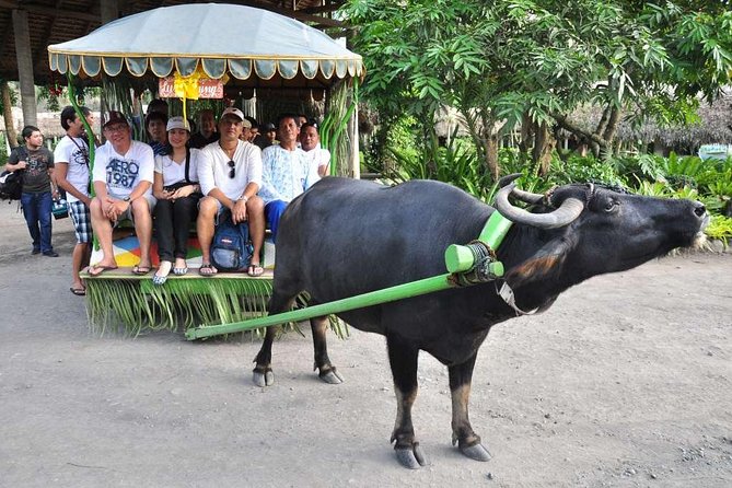 VILLA ESCUDERO DAY TOUR with Carabao Cart Ride and Bamboo from Manila - The 6:00 a.m. pickup and long road journey