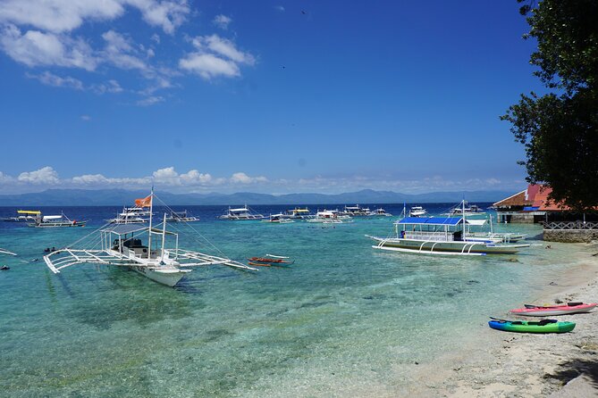 Whale Shark, Canyoneering, Sardines Run and Turtles with Transpo - Three Cebu highlights packed into one demanding day