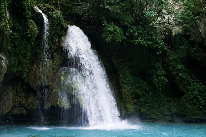 Whale Shark, Canyoneering, Sardines Run and Turtles with Transpo - Who will get the most from the $180 price