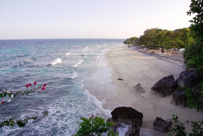 Whale Shark Encounter and Sumilon Sandbar with Kawasan Falls - Key Points Before You Book
