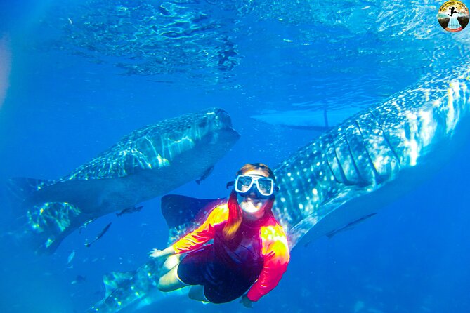 Whale Shark Swimming, Tumalog Falls and Kawasan Canyoneering - Why this Cebu day is such a full plate