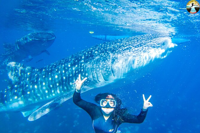 Whale Shark Swimming, Tumalog Falls and Kawasan Canyoneering - Tumalog Falls gives you a short change of pace