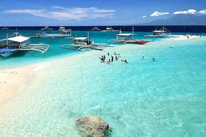 Whale Watching in Sumilon Island with Ocean View Resort and Lunch - Key points to know before you book